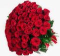 Roselline, Rosellose!